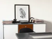 Owl – Image 3