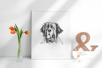 St Bernard – Image 3