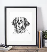St Bernard – Image 4