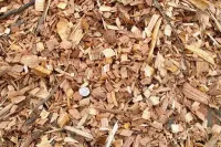 Arborist Wood Chips – Image 1