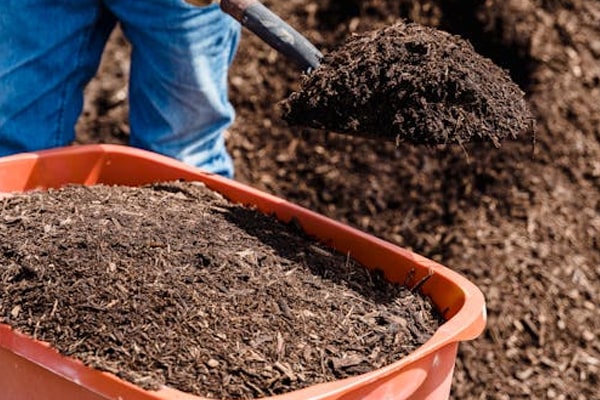 Premium Ground Mulch – Image 2