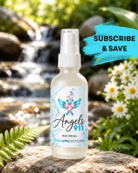 ANGELS 911 | SUBSCRIBE & SAVE!! – Image 1