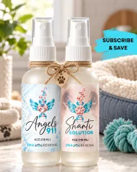SHANTI SOLUTION | SUBSCRIBE & SAVE!! – Image 2