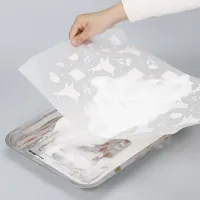 Color Prime Flex Hot Melt Powder for Direct to Film – Image 4