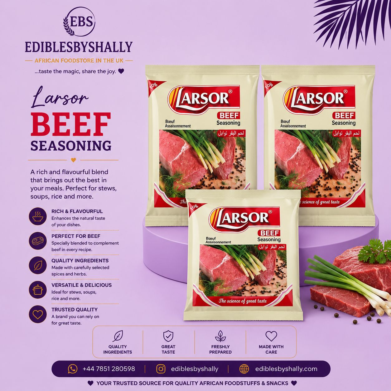 Larsor Seasoning  – Larsor Beef Seasoning 10g - 2pcs