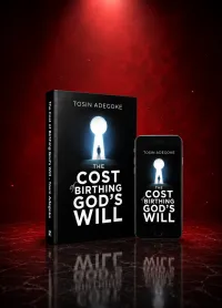 The Cost of Birthing God's Will – Image 1