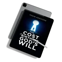The Cost of Birthing God's Will – Image 5