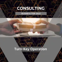 Consulting Business For Sale – Image 1