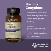 Bacillus Coagulans – Image 1