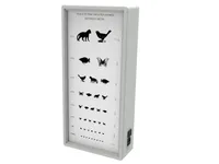 [A00011489] - Ottotipo luminoso - animali – Image 1