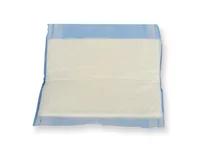 [A00100525] - pads assorbenti 20x20 cm sterili Gima – Image 1