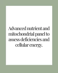 NutrEval — Cellular Nutrition – Image 2