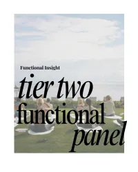 Tier 2 Functional Panel – Image 1