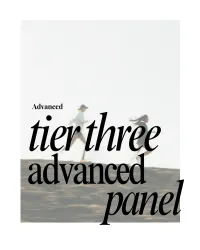 Tier Three Advanced Panel – Image 1