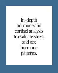 DUTCH Complete — Hormone Deep Dive – Image 2