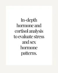 DUTCH Complete — Hormone Deep Dive – Image 2