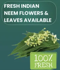 Neem Flowers & Leaves – Image 1