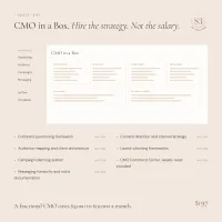 CMO-in-a-Box™ – Image 3