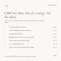 CMO-in-a-Box™ – Image 4