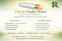 PEMF Vitality Wand – Image 2