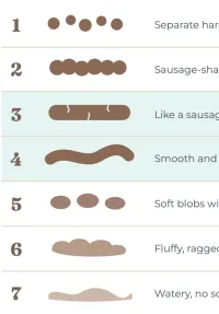 The Poo Plan FREE DOWNLOAD – Image 1