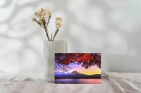 Greetings Card 10 Pack With 5 Designs - Set 1 – Image 3
