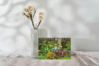 Greetings Card 10 Pack With 5 Designs - Set 1 – Image 6
