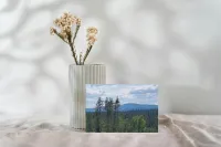 Greetings Card 10 Pack With 5 Designs - Set 1 – Image 7