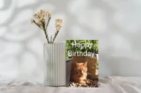 Birthday Card 10 Pack With 5 Different Designs - Set 2 – Image 3