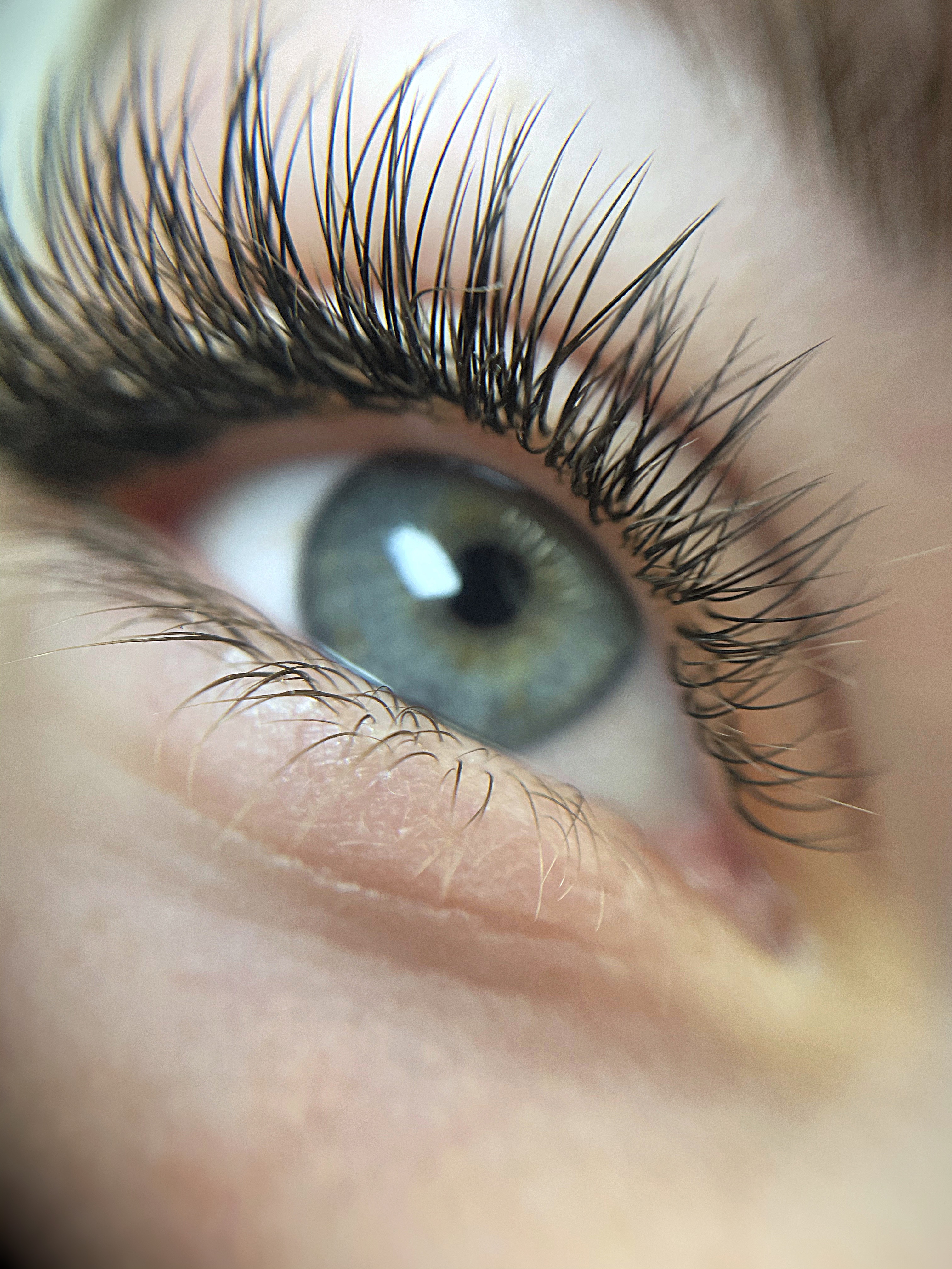 The Complete Lash Artistry Programme – Image 3