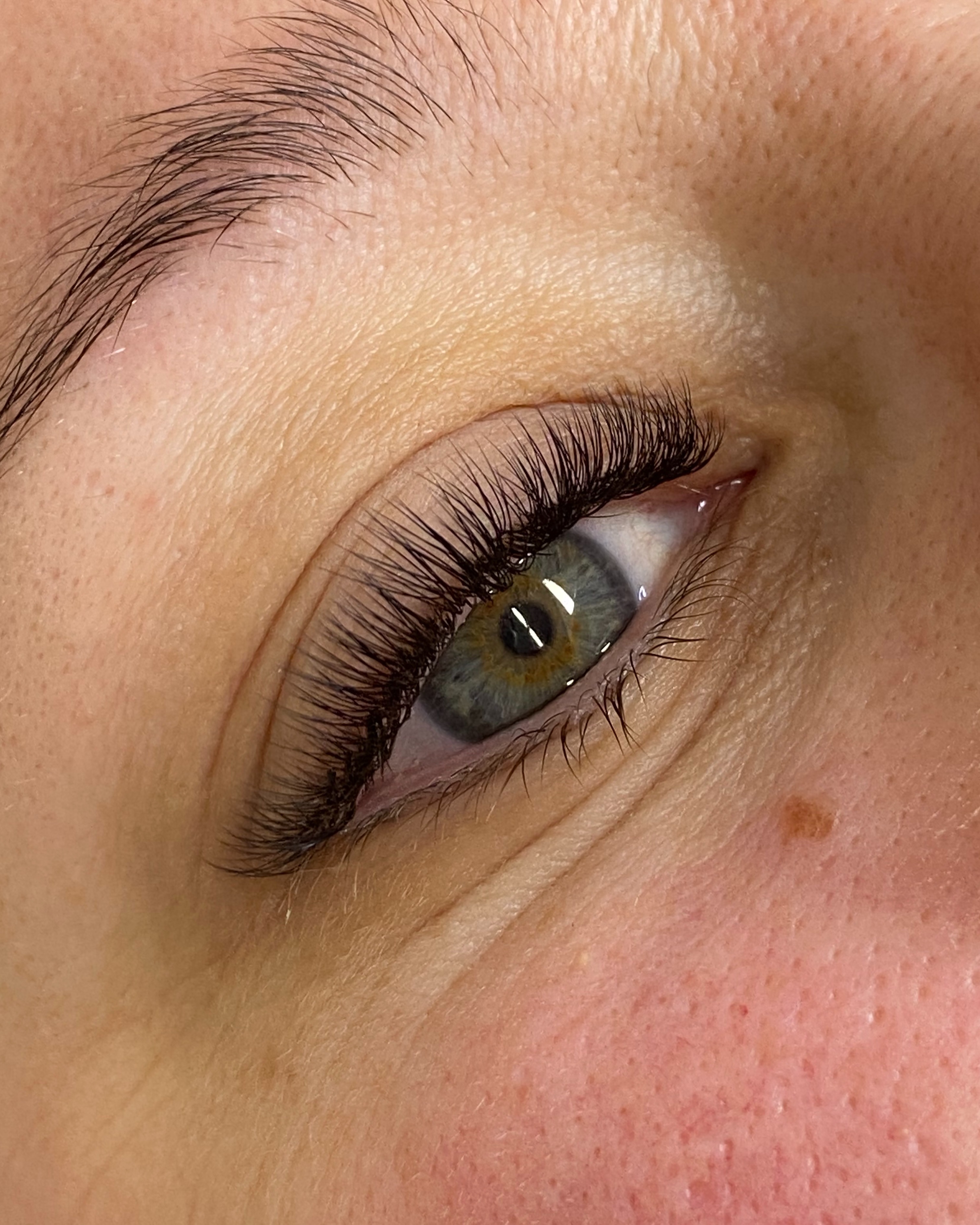 The Complete Lash Artistry Programme – Image 5