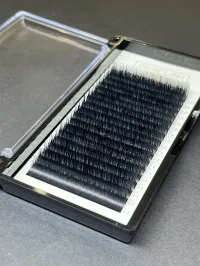 D'Luxe Lash Trays: LXRY Line – Image 1