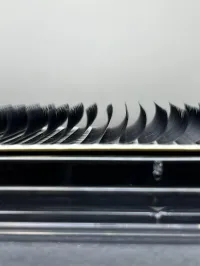 D'Luxe Lash Trays: LXRY Line – C, 0.12, 10mm
