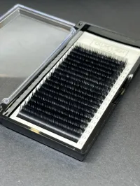 D'Luxe Lash Trays: LXRY Line – Image 3