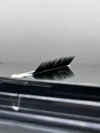 D'Luxe Lash Trays: M / L Curl – Image 3