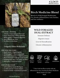 Birch Medicine Blend Dual-Extract Tincture: Wildcrafted Mushroom Blend for Immune, Liver, and Gut Support – Image 2