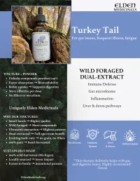 Turkey Tail Dual-Extract Tincture: Wild-Foraged Mushroom Tincture for Immune and Gut Balance – Image 2