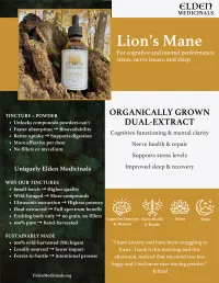 Lion’s Mane Dual-Extract Tincture: Organic Cultivated Mushroom Tincture for Brain, Nerve, and Whole-Body Support – Image 2