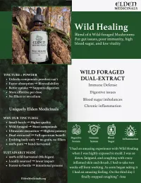 Wild Healing Dual-Extract Tincture: Michigan Wildcrafted Mushroom Tincture for Immune and Whole-Body Support – Image 2