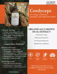 Cordyceps Mushroom Tincture: Organic Cultivated Mushroom Dual-extract for Natural Energy & Endurance Support – Image 2