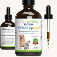 Pet Wellbeing BM Tone-Up Gold for Cats & Dogs – Image 1