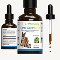 Pet Wellbeing Natural Kidney Disease Support for Cats & Dogs – Image 1
