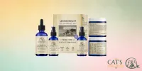 Adored Beast Small Dog Leaky Gut Protocol – Image 1