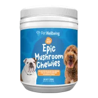 	Pet Wellbeing Epic Mushroom Chewies for Dogs – Image 1