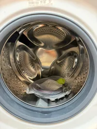 Beko WFTV10733XC Front Load Washer – Image 4