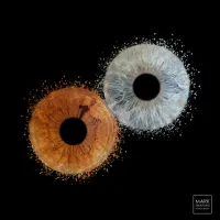 Iris-Art - Bronze Voucher £49 – Image 2