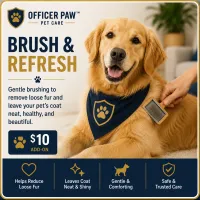 Brush & Refresh – Image 1