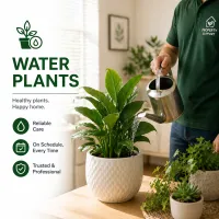 Water Plants – Image 1