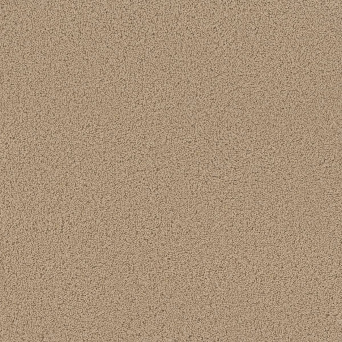 Dream Weaver SP250 – Cookie Dough (705) – Image 1