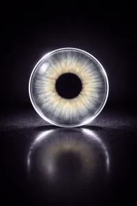 Wild DNA – Image 3